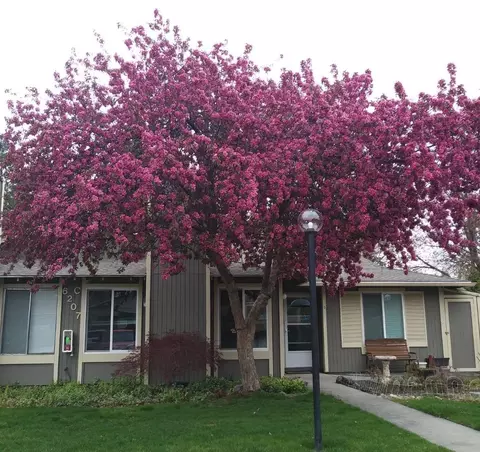 6207 E 6th Ave #C-3, Spokane, WA 99212 photo 20