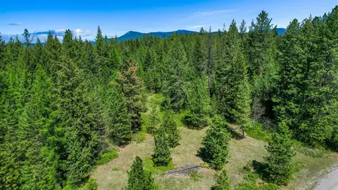 tbd Bussard Rd, Loon Lake, WA 99109