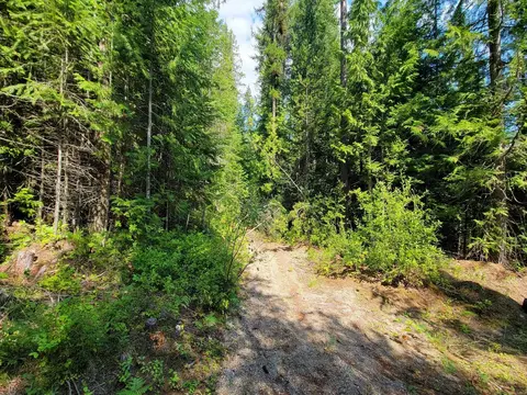 Nkn Wolfe Mtn Rd, Newport, WA 99156