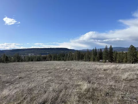 0 Thompson Ln, Reardan, WA 99029