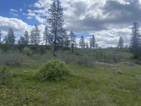 27200 E Underwood Canyon Rd, Creston, WA 99117