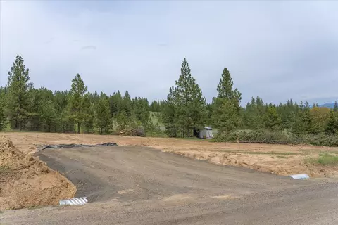 3520 W Woolard Rd, Colbert, WA 99005 photo 31