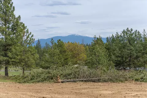 3520 W Woolard Rd, Colbert, WA 99005 photo 33