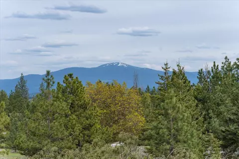 3520 W Woolard Rd, Colbert, WA 99005 photo 34