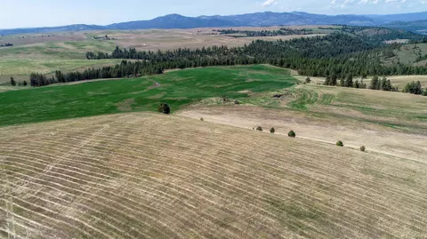 Nnn Hwy 25 N., Davenport, WA 99122