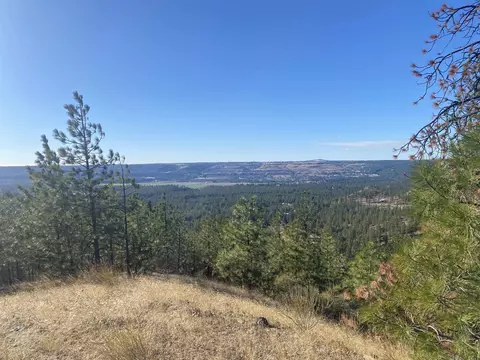 Nnnn Jergens Rd, Nine Mile Falls, WA 99026