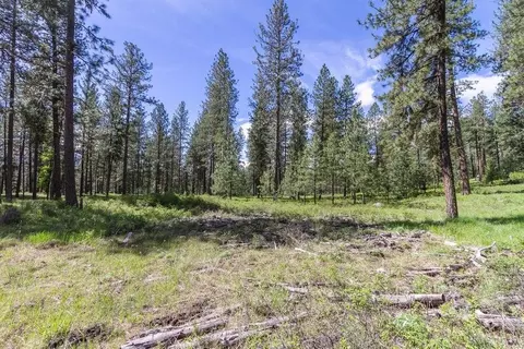 1100 Blk Kitt Narcisse Parcel C Rd, Colville, WA 99114