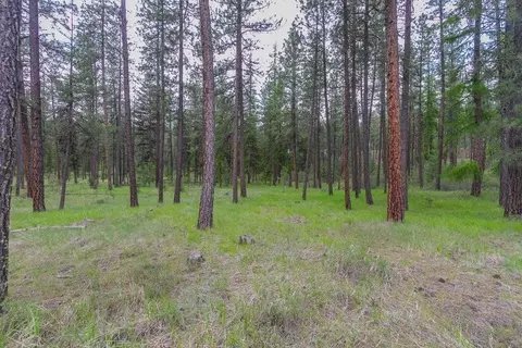 1100 Blk Kitt Narcisse Parcel B Rd, Colville, WA 99114