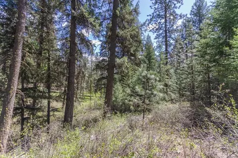 1100 Blk Kitt Narcisse Parcel A Rd, Colville, WA 99114