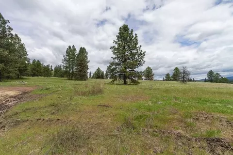 1100 Blk Kitt Narcisse Parcel E Rd, Colville, WA 99114
