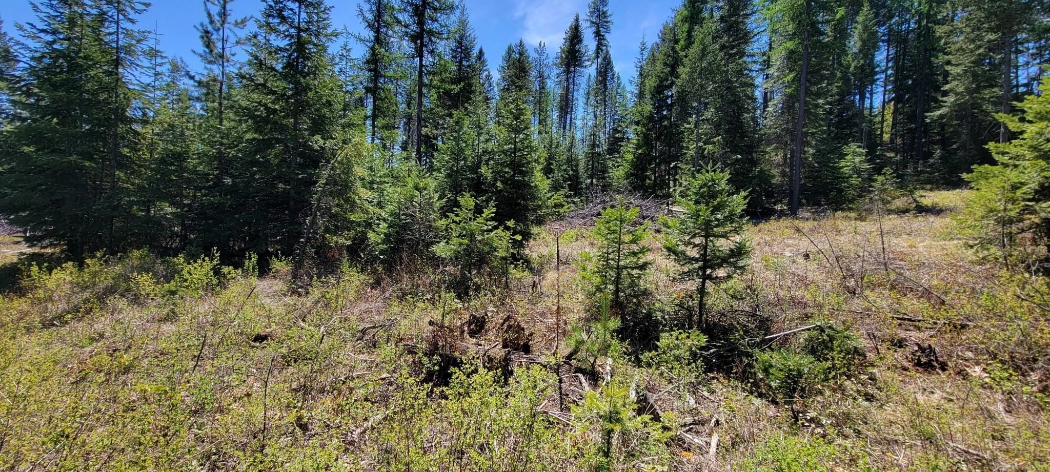 4141 Rosehill Rd Unit  X  