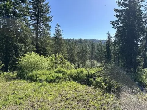 Nnn Gennett Rd, Springdale, WA 99173