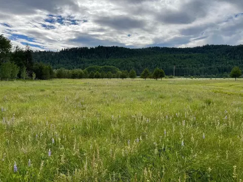 11 Needles Dr, Cusick, WA 99119 photo 16