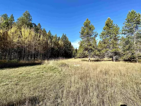 11 Needles Dr, Cusick, WA 99119 photo 8