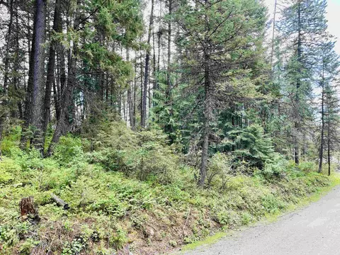 tbd Eastshore Rd, Newport, WA 99156