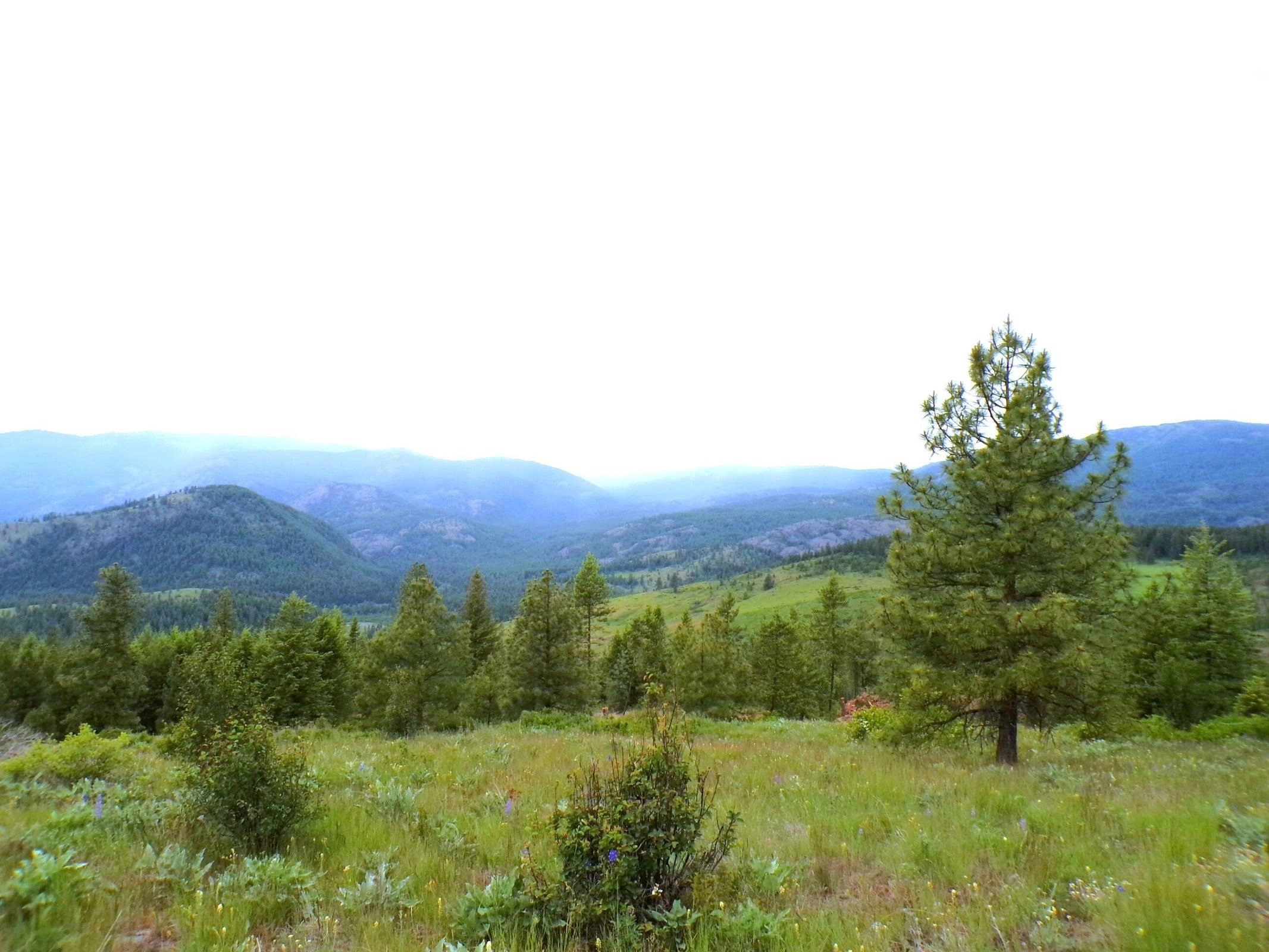 4 S Xx B S Barnaby Crk Rd