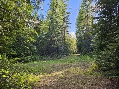 Nka Blackberry Ln, Usk, WA 99180