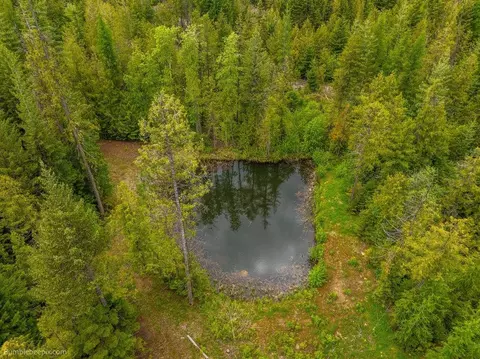 48 Hidden Loop Rd, Usk, WA 99180 photo 47