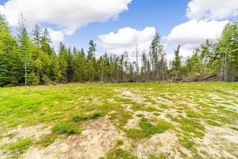 48 Hidden Loop Rd, Usk, WA 99180 photo 4