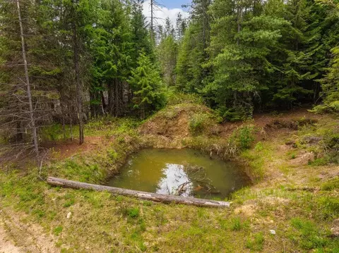 48 Hidden Loop Rd, Usk, WA 99180 photo 49