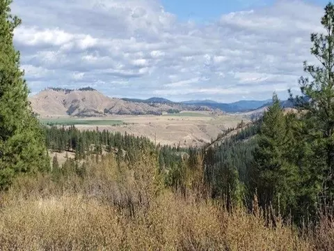Nka Old Hughes Rd, Davenport, WA 99122
