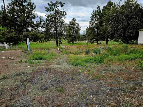 10302 S Electric St, Four Lakes, WA 99014