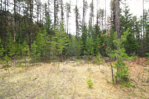 Tbd Arthurs Blvd, Cusick, WA 99119