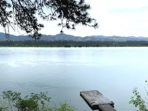 1062 Davis Rd, Usk, WA 99180 photo 17