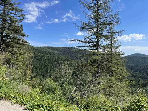 Lot 35 Snowblaze Rec Tracts, Mead, WA 99021