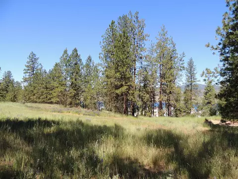 lot2 River Bend Ln E, Davenport, WA 99122