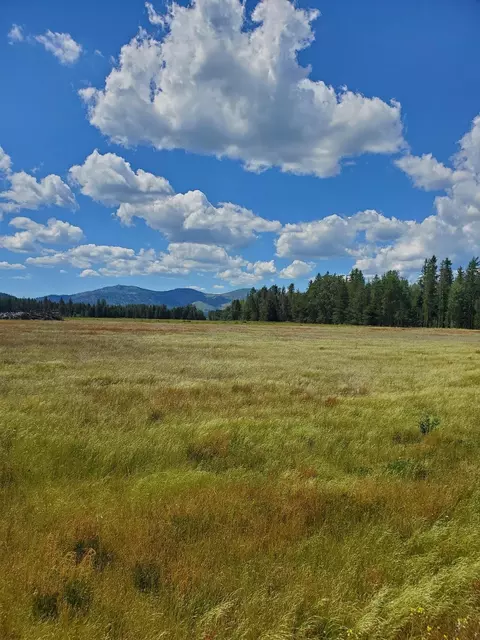 NNN Hattery Owens Rd #PARCEL B, Deer Park, WA 99006