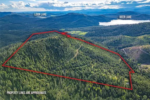 Tbd Buck Creek Rd, Loon Lake, WA 99148