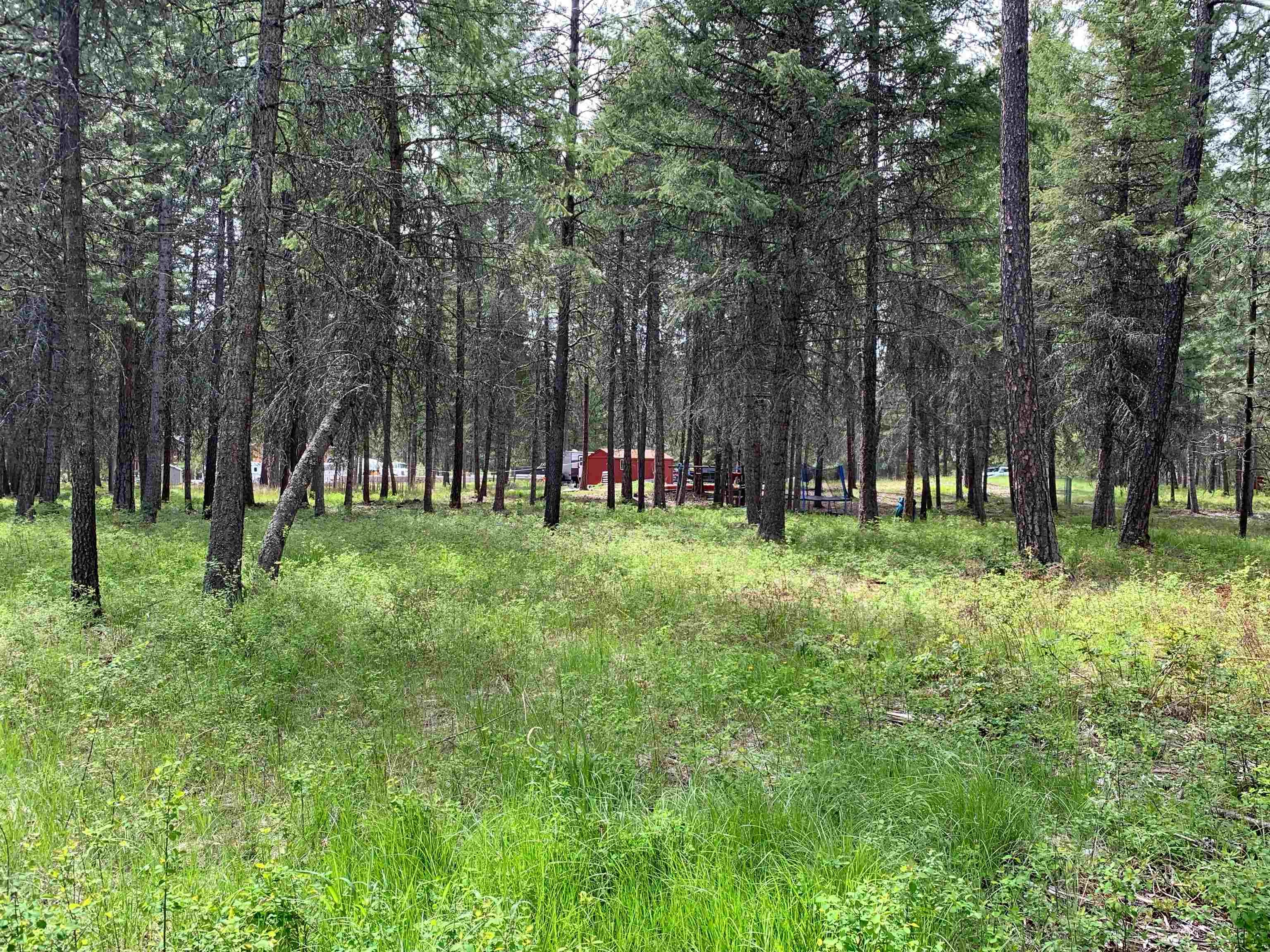 3741 N Deer Lake Rd Unit -B  
