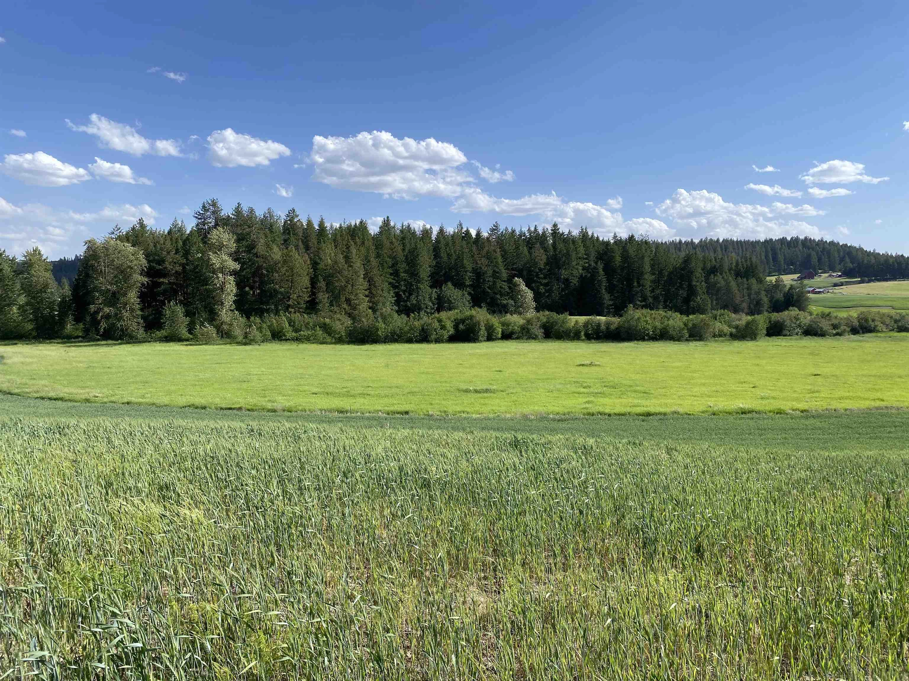 8818 E Little Deep Crk Ln  