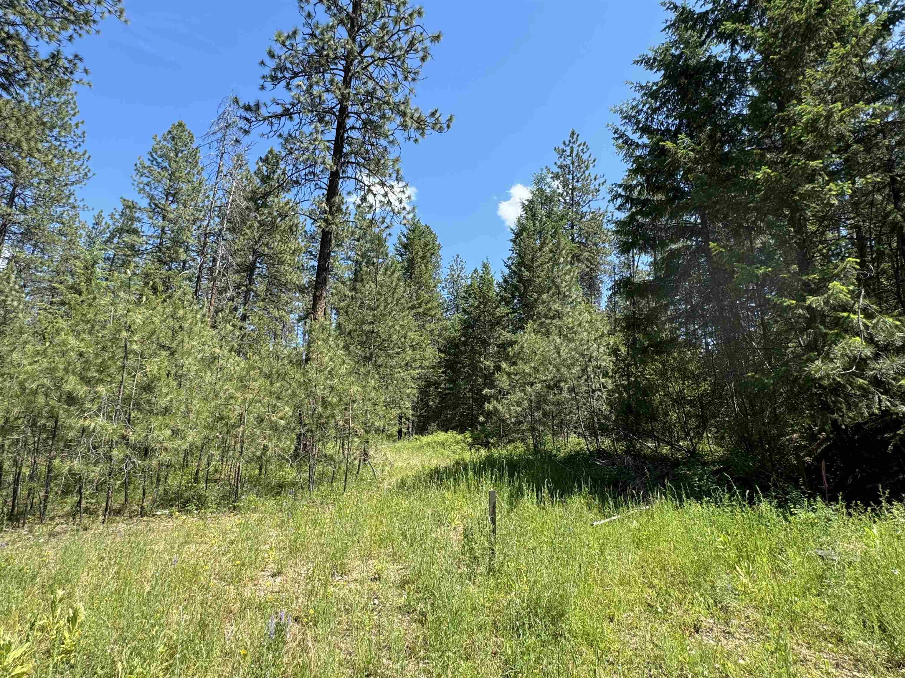 610 N Beck Ln Unit Lot 1  