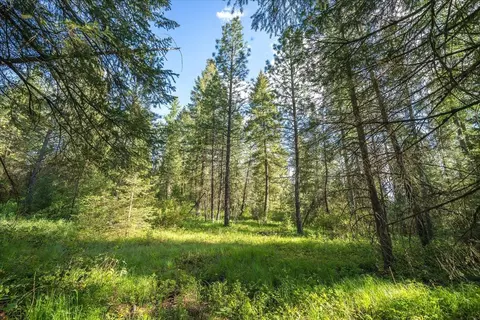Nna N Regal Rd, Chattaroy, WA 99003