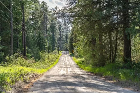 Nnaa N Regal Rd, Chattaroy, WA 99003