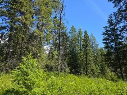 Nnn Kingsbury Lake Way, Kettle Falls, WA 99141