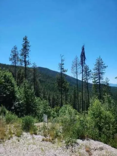 Nnn Kinisku Rd Lot13 Blk5 Kinisku Rd, Chewelah, WA 99019