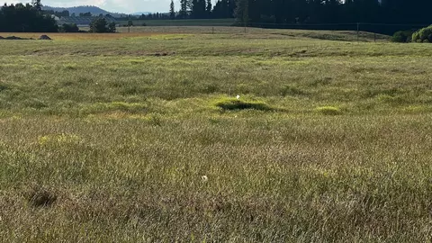 33 Nnn N Spotted Rd, Deer Park, WA 99006