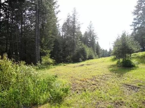 Exterior - 1992 Summit Valley Rd, Addy, WA 99101 photo 8 of 15