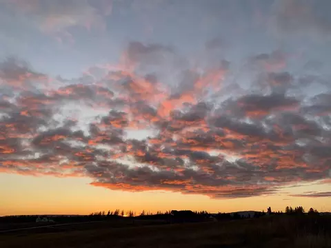 Other - 6307 E Foxtrot Ln, Colbert, WA 99005 photo 5 of 5