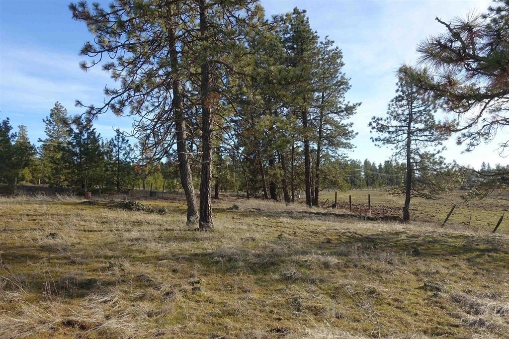 20 S Xxx S Parker Rd