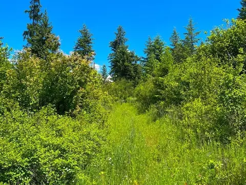 1824- N Tbd N 25 Hwy, Evans, WA 99126