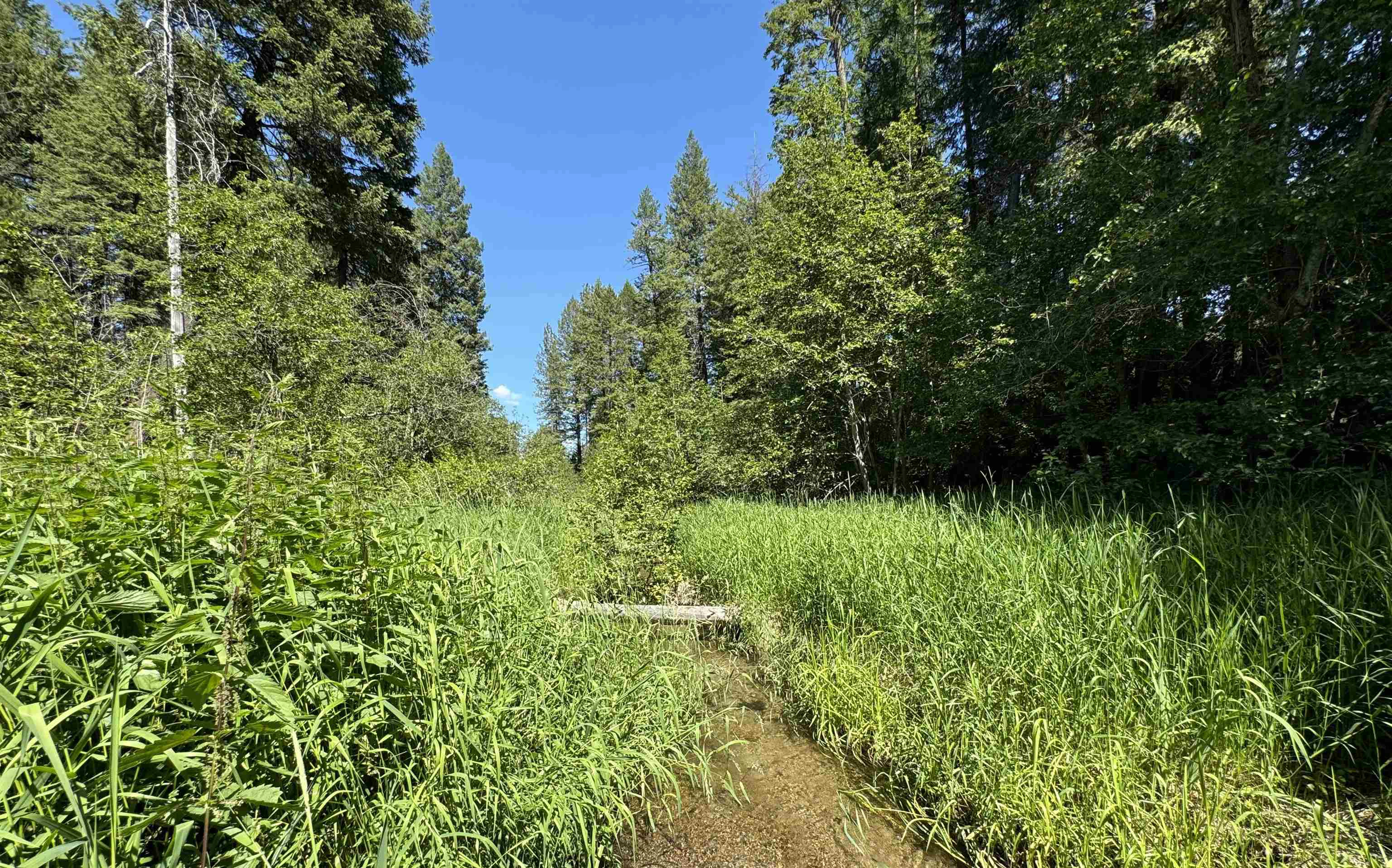 520 N Beck Ln Unit Lot 4  