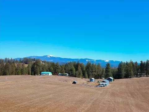 21200 N Division Rd, Colbert, WA 99005 photo 20