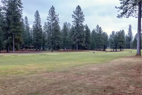 533 Hogans Way, Chewelah, WA 99109