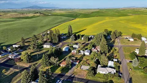 View/Area - 540 N Pine St, Spangle, WA 99031 photo 5 of 8