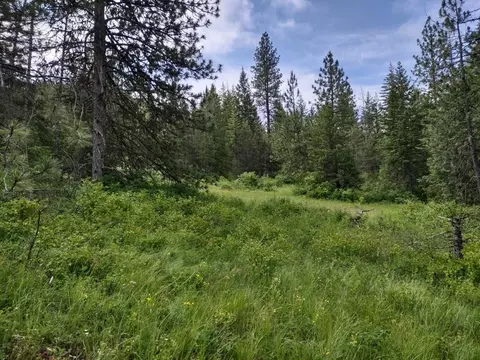 Nn Gardenspot Rd, Loon Lake, WA 99148