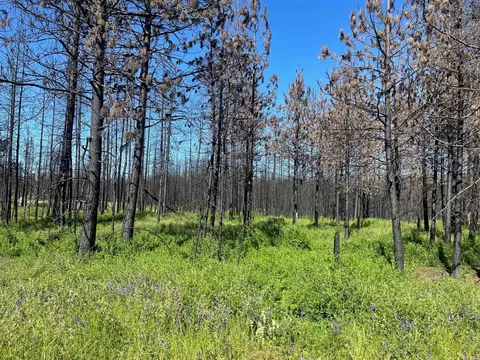 41311 Jackson Rd, Elk, WA 99009